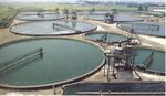 Valutazione delle cinetiche di crescita di Chlorella vulgaris su impianto pilota a luce pulsata