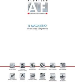 IL MAGNESIO una risorsa competitiva - IL MAGNESIO, una risorsa competitiva