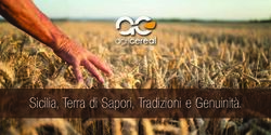 Sicilia, Terra di Sapori, Tradizioni e Genuinità - Agricereal