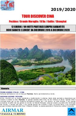 2019/2020 Benvenuto in Airmar Viaggi!