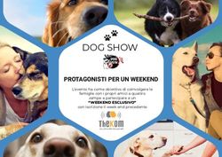 DOG SHOW PROTAGONISTI PER UN WEEKEND - "WEEKEND ESCLUSIVO" - Eventi Thekom