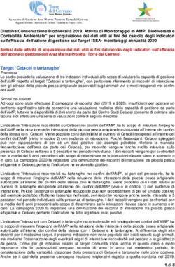 Target 'Cetacei e tartarughe' - Area Marina Protetta Torre del ...