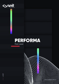 PERFORMA Fast Laser - www.seitelettronica.it - Seit Elettronica