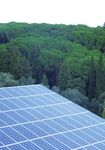 IL NUOVO CONTO ENERGIA - Decreto 19 febbraio 2007 La richiesta dell'incentivazione per gli impianti fotovoltaici