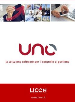 La soluzione software per il controllo di gestione - www.licon.it