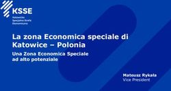La zona Economica speciale di Katowice - Polonia - Una Zona Economica Speciale ad alto potenziale