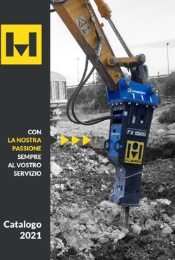 Catalogo 2021 - CON LA NOSTRA PASSIONE SEMPRE AL VOSTRO SERVIZIO - Hammer Europe