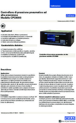 Controllore di pressione pneumatico ad alta precisione Modello CPC8000