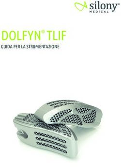 DOLFYN TLIF GUIDA PER LA STRUMENTAZIONE - Baat Medical