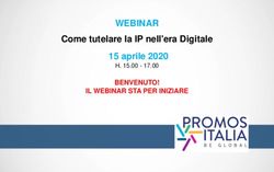 WEBINAR Come tutelare la IP nell'era Digitale 15 aprile 2020 - BENVENUTO! IL WEBINAR STA PER INIZIARE - Promos Italia