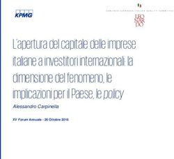 L'apertura del capitale delle imprese italiane a investitori internazionali: la dimensione del fenomeno, le implicazioni per il Paese, le policy ...