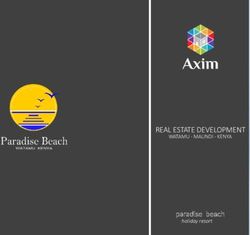 REAL ESTATE DEVELOPMENT - paradise beach WATAMU - MALINDI - KENYA holiday resort