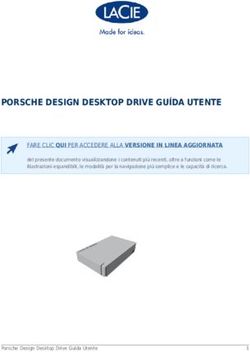 PORSCHE DESIGN DESKTOP DRIVE GUÍDA UTENTE