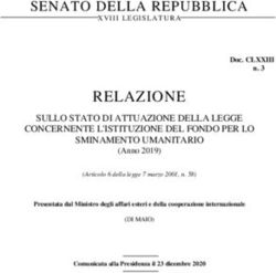 RELAZIONE SENATO DELLA REPUBBLICA
