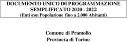 DOCUMENTO UNICO DI PROGRAMMAZIONE SEMPLIFICATO 2020 2022 - Comune di Pramollo Provincia di Torino (Enti con Popolazione fino a 2.000 Abitanti)