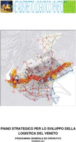 PIANO STRATEGICO PER LO SVILUPPO DELLA LOGISTICA DEL VENETO - PROGRAMMA GENERALE ED OPERATIVO