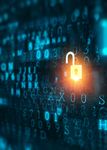Ransomware 2021 Double extorsion: La profilazione delle vittime - SNewsOnline