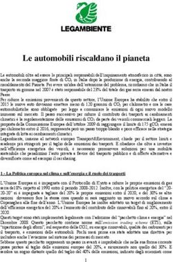 Le automobili riscaldano il pianeta