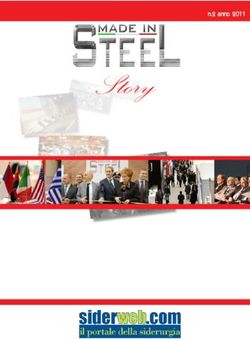 Story n.2 anno 2011 - Siderweb