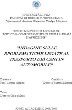 INDAGINE SULLE RPOBLEMATICHE LEGATE AL TRASPORTO DEI CANI IN AUTOMOBILE