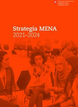 Strategia MENA 2021-2024 - Der Bundesrat admin.ch