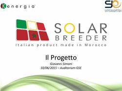 Il Progetto Giovanni Simoni 10/06/2015 - Auditorium GSE - Solar Breeder Morocco