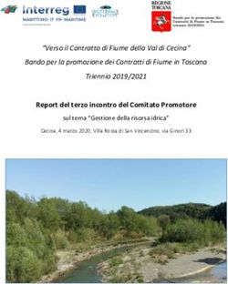 Report del terzo incontro del Comitato Promotore