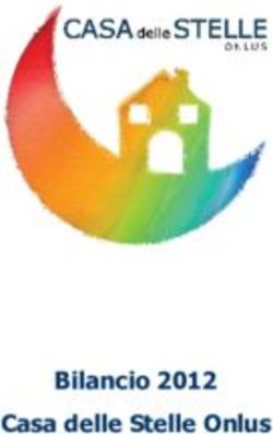 Bilancio 2012 Casa delle Stelle Onlus - Domus de Luna