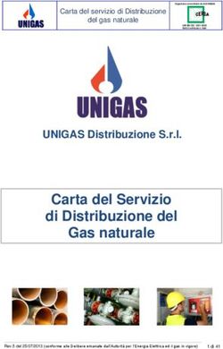 Carta del Servizio di Distribuzione del Gas naturale
