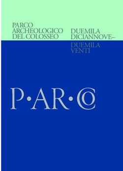 PARCO ARCHEOLOGICO DEL COLOSSEO DUEMILA DICIANNOVE-DUEMILA VENTI