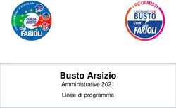 Busto Arsizio Amministrative 2021 Linee di programma