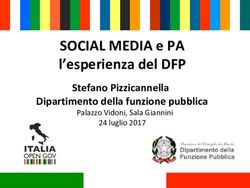 SOCIAL MEDIA e PA l'esperienza del DFP - Stefano Pizzicannella Dipartimento della funzione pubblica