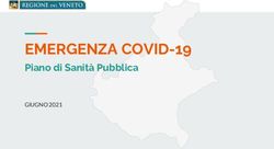 EMERGENZA COVID-19 Piano di Sanit&agrave; Pubblica - GIUGNO 2021 - L'Arena