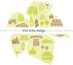 Südtirol Wein Vini Alto Adige Alto Adige Wines