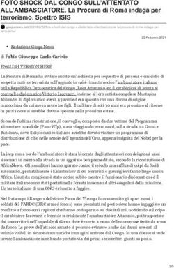 FOTO SHOCK DAL CONGO SULL'ATTENTATO - ALL'AMBASCIATORE. La Procura di Roma indaga per terrorismo. Spettro ISIS