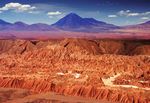 La Gabbianella e il Gatto - Gaia Edizioni