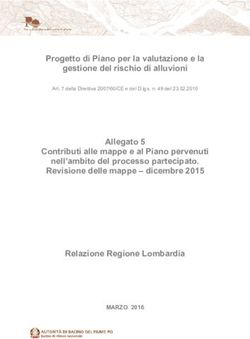 Progetto di Piano per la valutazione e la gestione del rischio di alluvioni