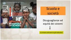 Scuola e società Disuguaglianze ed equità dei sistemi - La misura attraverso gli indicatori - eLearning