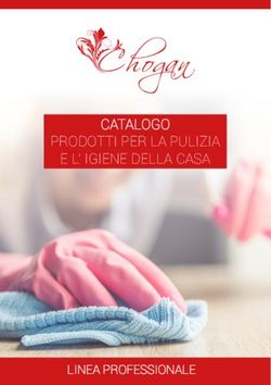 CATALOGO PRODOTTI PER LA PULIZIA E L' IGIENE DELLA CASA - LINEA PROFESSIONALE