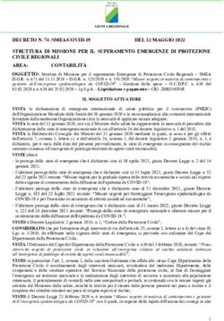 STRUTTURA DI MISSIONE PER IL SUPERAMENTO EMERGENZE DI PROTEZIONE CIVILE REGIONALI - Regione Abruzzo