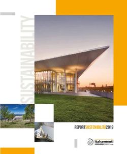 REPORTSOSTENIBILITÀ2019 - ITALCEMENTI