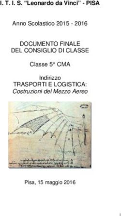 DOCUMENTO FINALE DEL CONSIGLIO DI CLASSE TRASPORTI E LOGISTICA: Costruzioni del Mezzo Aereo 2016 ...