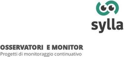 OSSERVATORI E MONITOR - Progetti di monitoraggio continuativo - Sylla