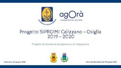 Progetto territoriale di accoglienza e di integrazione - Calizzano, 20 giugno 2020