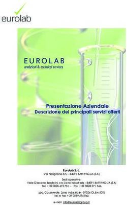 Presentazione Aziendale - Descrizione dei principali servizi offerti - Cipnes