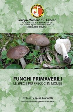 FUNGHI PRIMAVERILI LE SPECIE PI&Ugrave; PRECOCI IN MOLISE