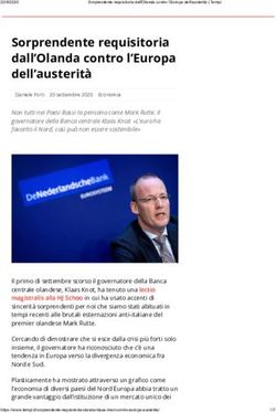 Sorprendente requisitoria dall'Olanda contro l'Europa dell'austerit&agrave;