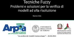 Tecniche Fuzzy Problemi e soluzioni per la verifica di modelli ad alta risoluzione - Arpa Piemonte