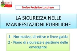 LA SICUREZZA NELLE MANIFESTAZIONI PUBBLICHE Piano di sicurezza e gestione delle emergenze