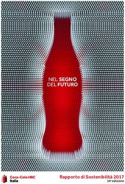 NEL SEGNO DEL FUTURO - Rapporto di Sostenibilità 2017 14a edizione - ConsumerLab.it